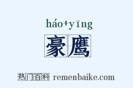 豪鹰是什么意思的图片